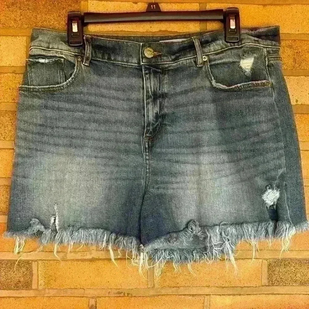 Loft  Cotton Blend medium wash frayed hem distressed blue jeans shorts 12